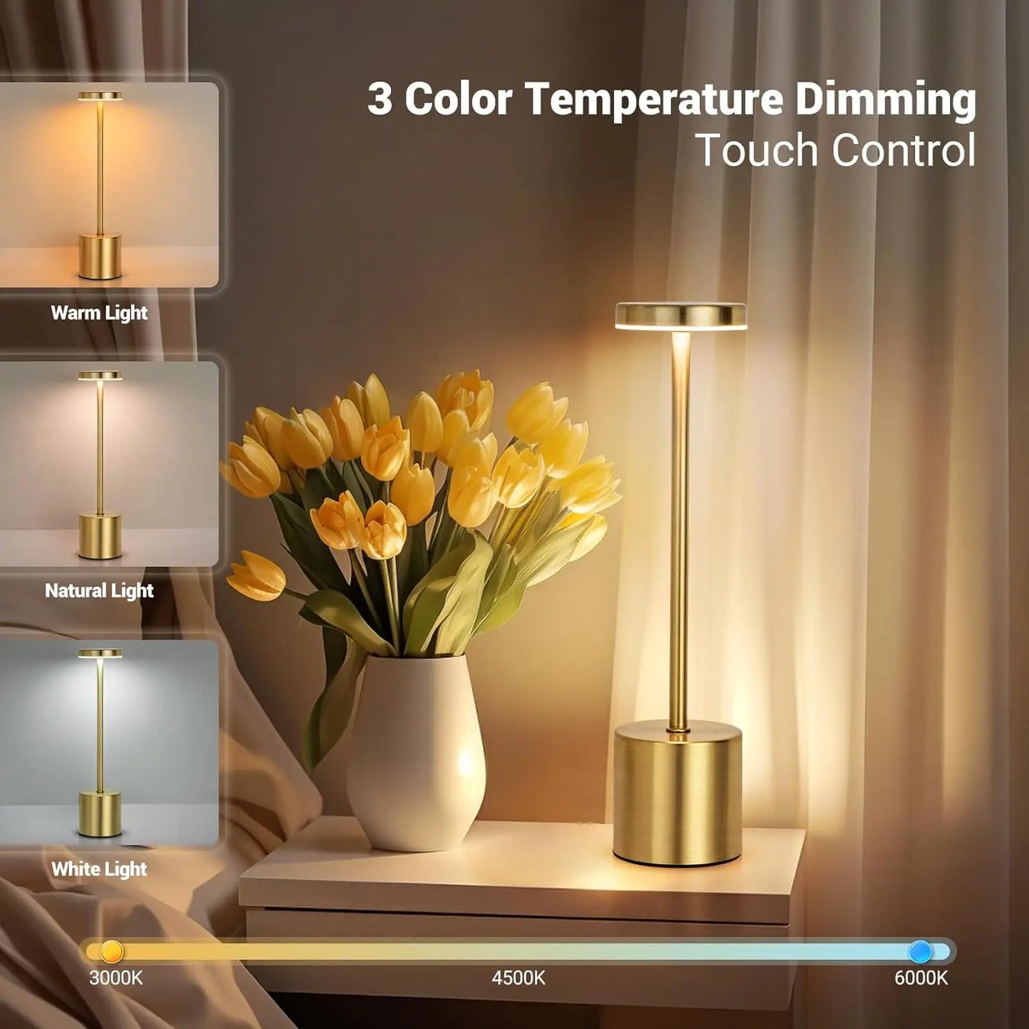 LED Rechargeable Touch Metal Table Lamp